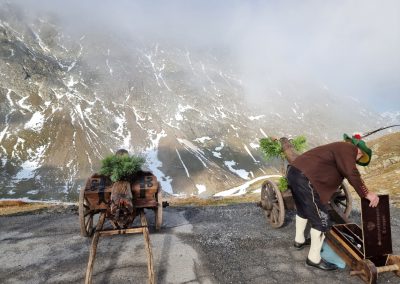 Die Dornenkrone am Timmelsjoch